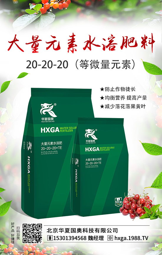 �����A�ć��W�Ƽ����޹�˾1