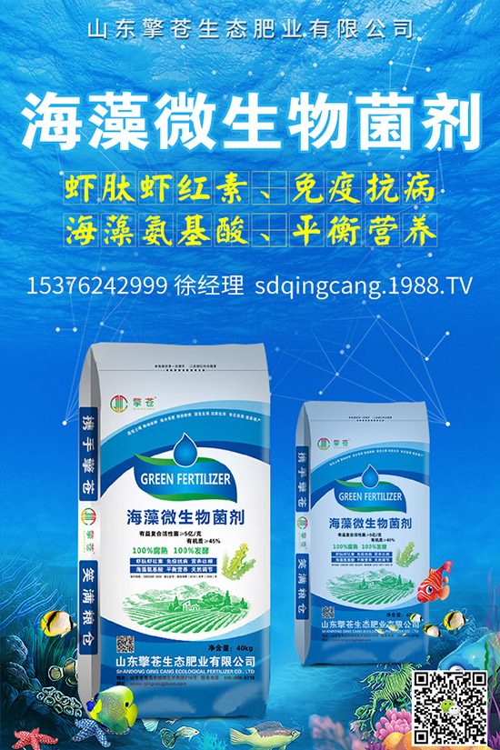     2019��10��26�ս�������(f��)�Ϸʃr(ji��)�������(d��ng)�B(t��i)���(b��o)