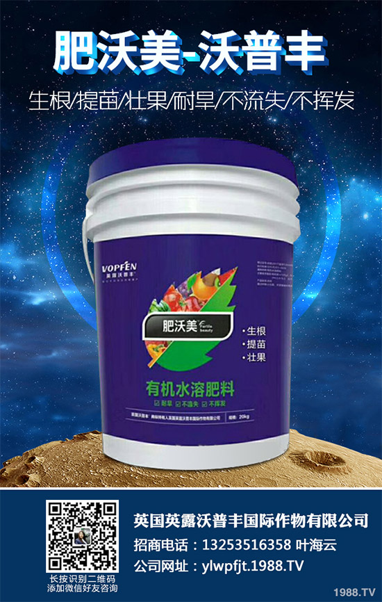     �f�������������źܶ����Ѷ�ϲ�g������Փ�ǳ�������߀�ǠC���������˶��в�һ�ӵ��L(f��ng)ζ�����������҂���Ҋ�ĵ��߲�֮һ�������˵ĠI(y��ng)�B(y��ng)�r(ji��)ֵ�Ը������ˣ����h(yu��n)�h(yu��n)��(y��u)���n�S����ô�������˵ĠI(y��ng)�B(y��ng)�r(ji��)ֵ����Щ��������������Щ��̎����