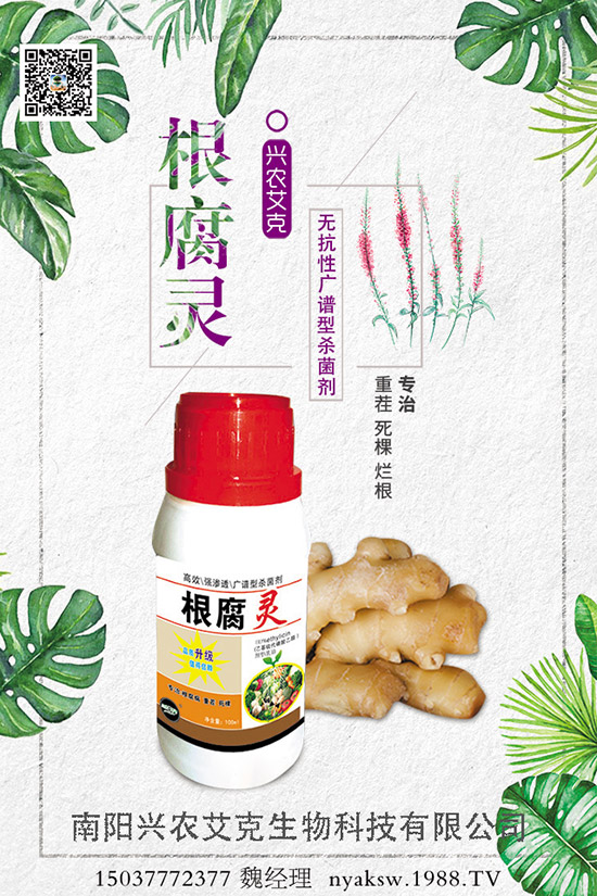 石榴樹(shù)能和哪些樹(shù)木嫁接，石榴樹(shù)的嫁接方法！