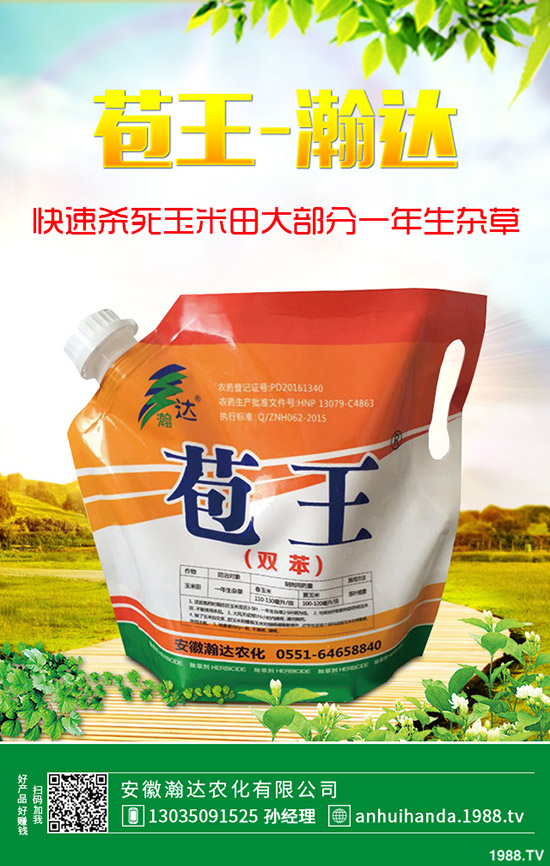 �紺�²���ôʩ�����²�ʩ�ʷ�����ע�����(xi��ng)��