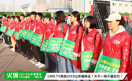 �F��ֱ����2019ɽ�|ֲ����ʢ���_Ļ��ǧ�̅R��������ȼ��ȫ��!