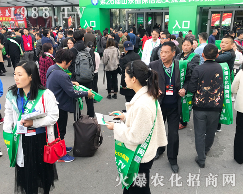     2019ɽ�|��(j��)��ֲ���p�������r(n��ng)�����̾W(w��ng)��ٶ��w��