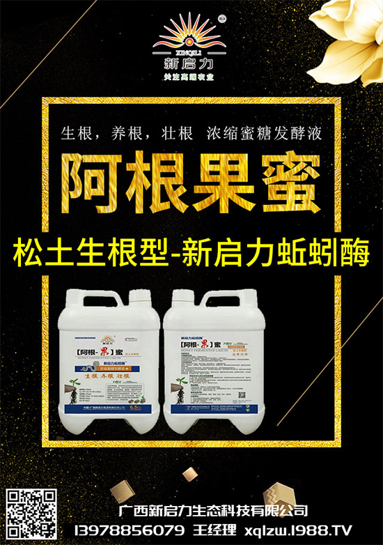 ���{��Ä������ЩΣ��������{�����İl(f��)���c���μ���