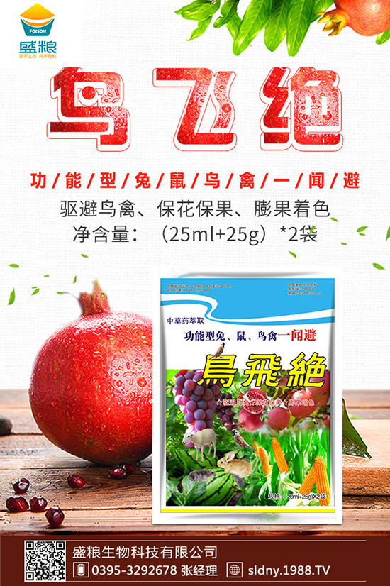 �������t������ڷ����������t���ڷ۷�������Щ��