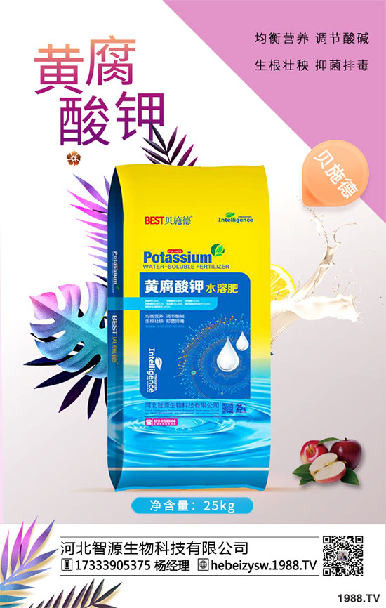 ����ը���ӷNֲ�����¹����༼�g(sh��)��