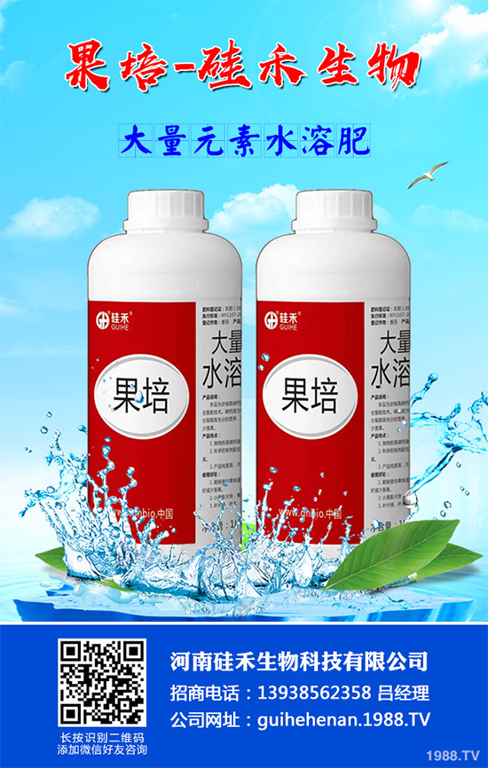 甘藍(lán)黑腐病是如何發(fā)生的?有哪些危害?甘藍(lán)黑腐病綜合防治方案