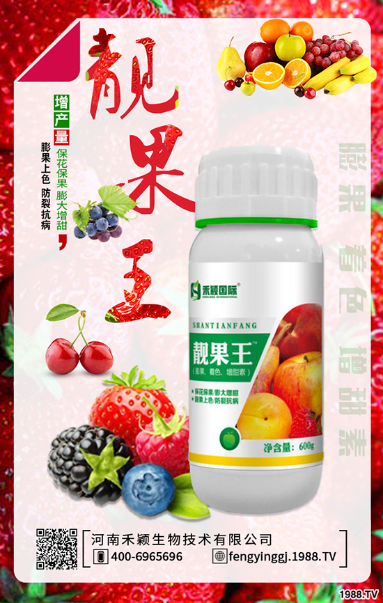 人參果種植技術