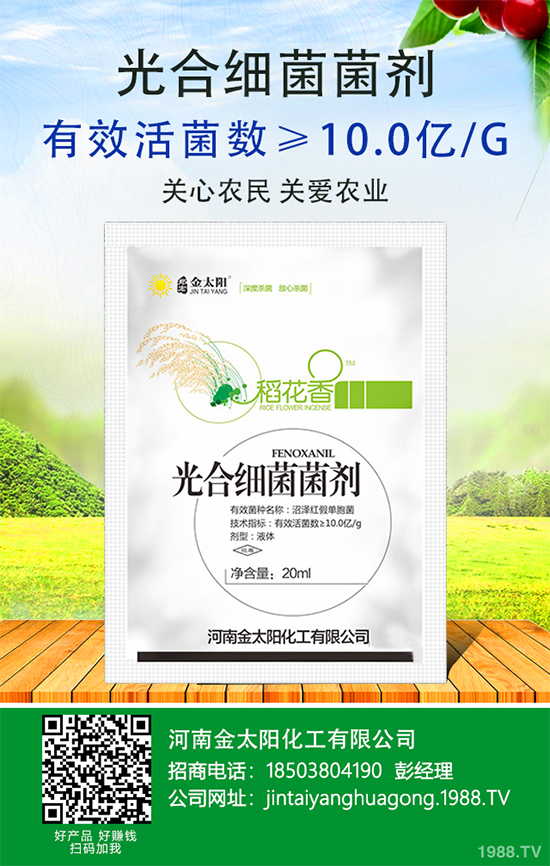 ����������ԭ���������������k����