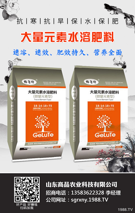 2019��11��12�ձ�������(gu��)��(n��i)⛷������߄�(sh��)�A(y��)�y(c��)��