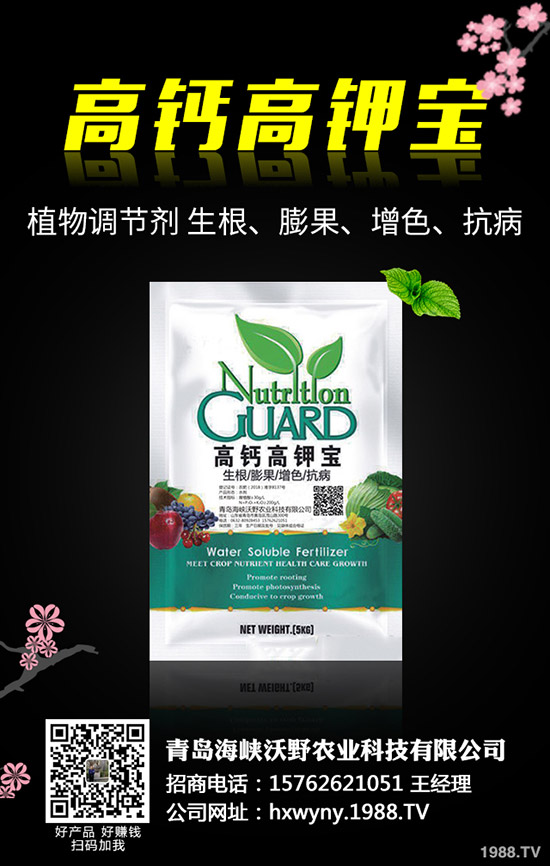 ���@�r(ji��)�����(sh��)�ž���2019��11��12�Շ�(gu��)��(n��i)���@�r(ji��)�������