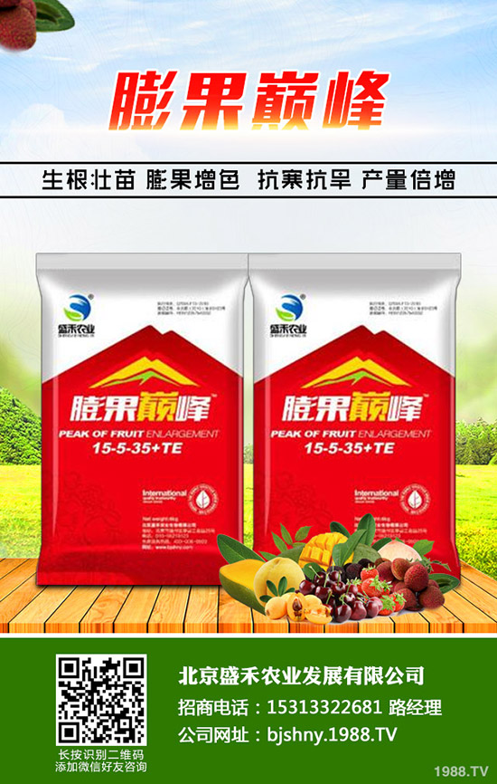 �²˵ķNֲ�r�g��ʲô�r�����²˵ķNֲҪ�c���˽�᣿