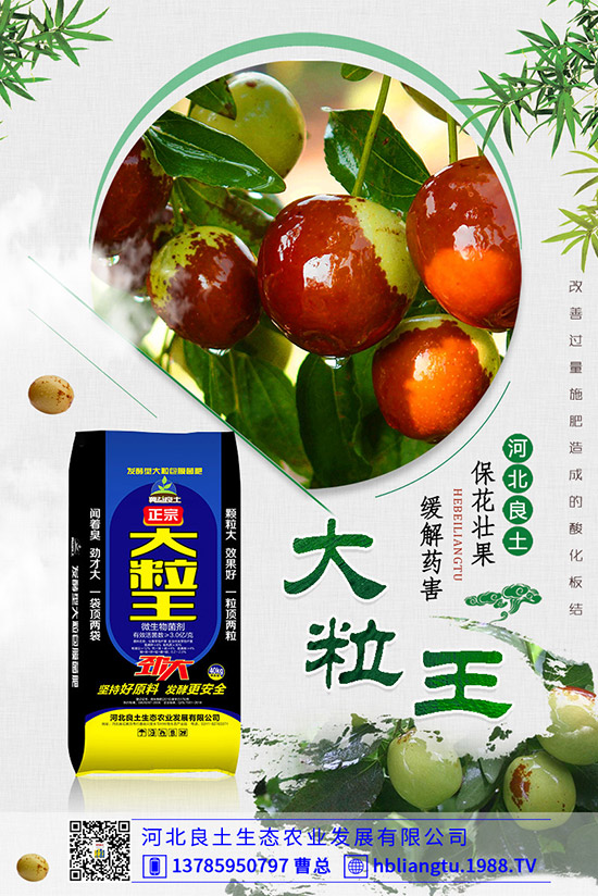 ����仨���ԭ������Щ�������������������