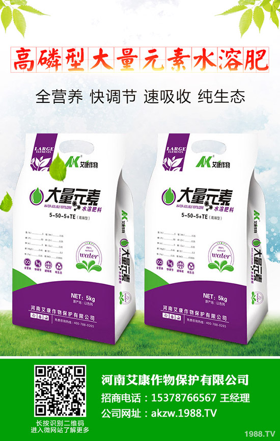 ���؃r(ji��)��Εr(sh��)���{(di��o)�������������������߄�(sh��)����2019-11-13