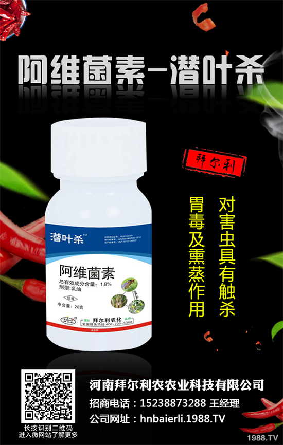 �������x(ch��ng)���r(ji��)��