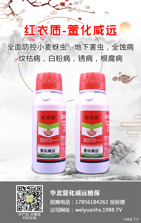 ���x���r��