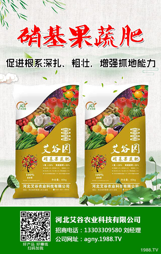 ⛷ʃr���µ�һ����2019-11-16���ո��؅^(q��)⛷��������S��r��