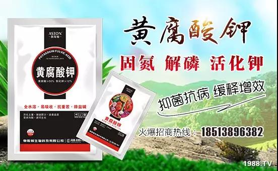 �VԴ�S����⛡�����Ʒ�ʣ�1����=8���ЙC(j��)�����½�Դ�^ֱ�l(f��)������