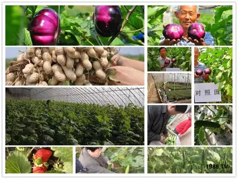 �VԴ�S����⛡�����Ʒ�ʣ�1����=8���ЙC(j��)�����½�Դ�^ֱ�l(f��)������