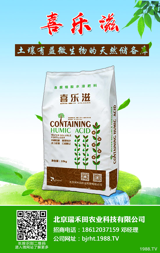 �����~Ƭ�l(f��)�S����ô�����������~Ƭ�l(f��)�S��ô���Σ�