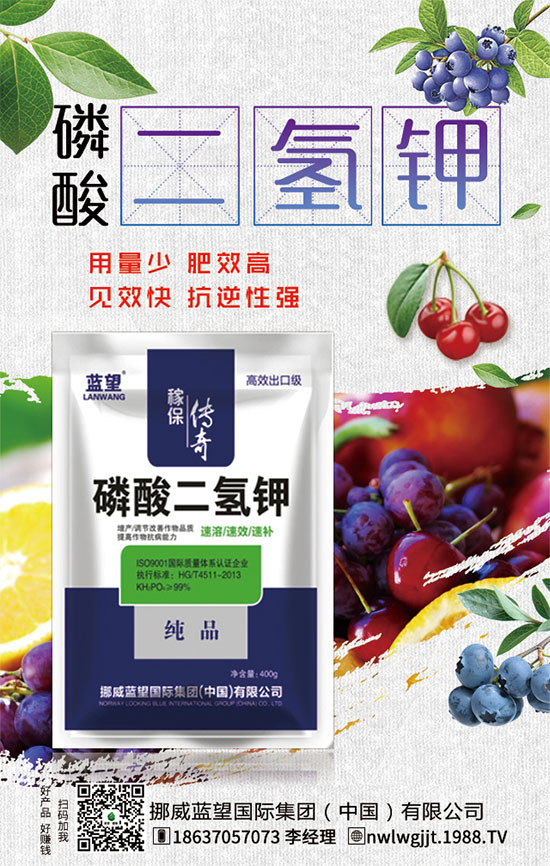 �t�����ֵĠI�B(y��ng)��ʳ�Ãr(ji��)ֵ��������x������