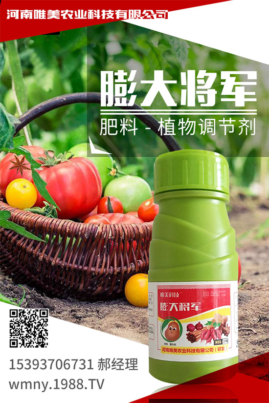 吃西柚有什么好處?挑選西柚的小技巧!