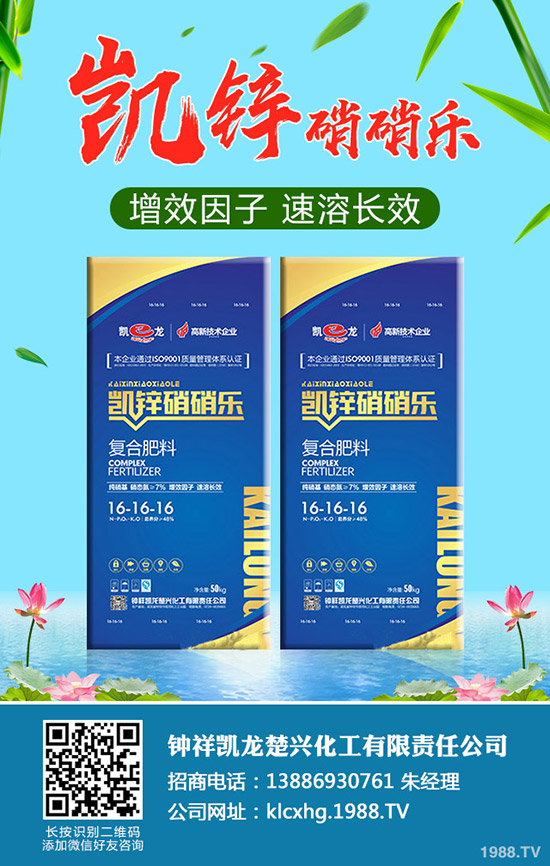 ʲô���ЙC(j��)��ײˣ��ЙC(j��)��ײ˷NֲҪ�c(di��n)����Щ��