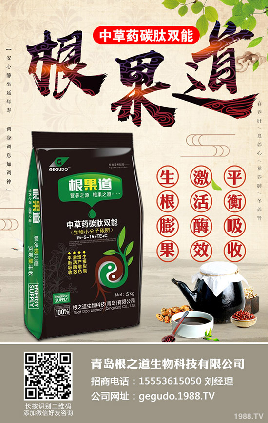     ��(gu��)��(n��i)���؃r(ji��)���(hu��)�q�᣿2019��11��19�ս��ո������³��S��(b��o)�r(ji��)��(l��i)����