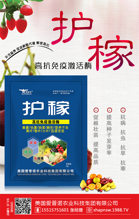 秋冬菠菜種植品種怎么選?越冬菠菜凍藏方法要點!