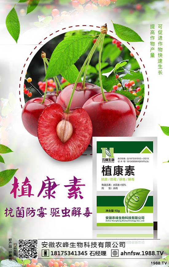 ��(d��ng)�w��ô�Nֲ����(d��ng)�w�NֲЧ�漰���༼�g(sh��)��