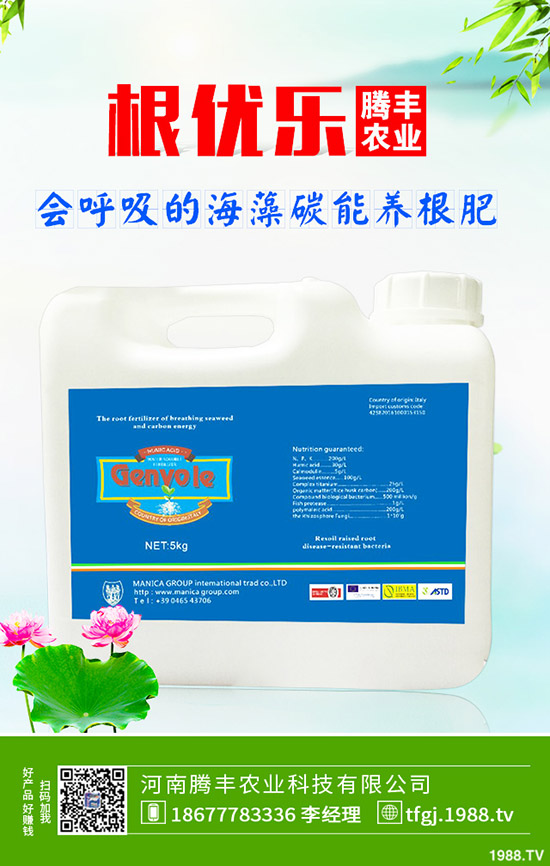 ʯ��ְ߲���(d��o)�°l(f��)�S���~��ô�k��ʯ��ְ߲��ķ���Ҫ�c(di��n)��