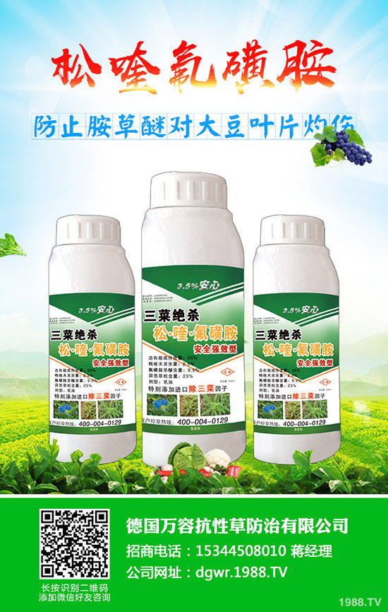 �S��ʲô�r�g�Nֲ���S���ķNֲ��������Щ��