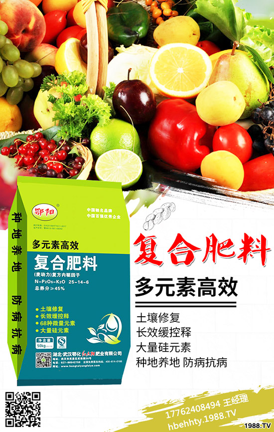 ���������t̫ꖷʘI(y��)���޹�˾