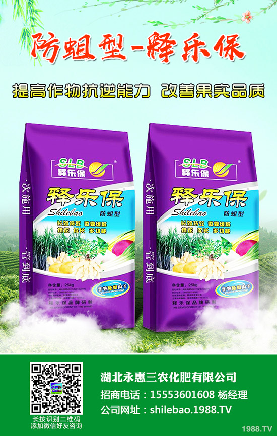     2019��11�µ���������⛷��Ј��r�������߄��A(y��)�y��