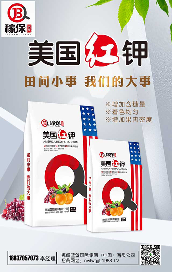 ���㻨�B(y��ng)ֳ��������Щ�����㻨�B(y��ng)ֳע�������