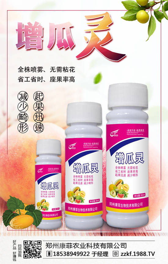 �����Ϲ���ô�Nֲ�������ϹϵķNֲ��Ҫ�c(di��n)��