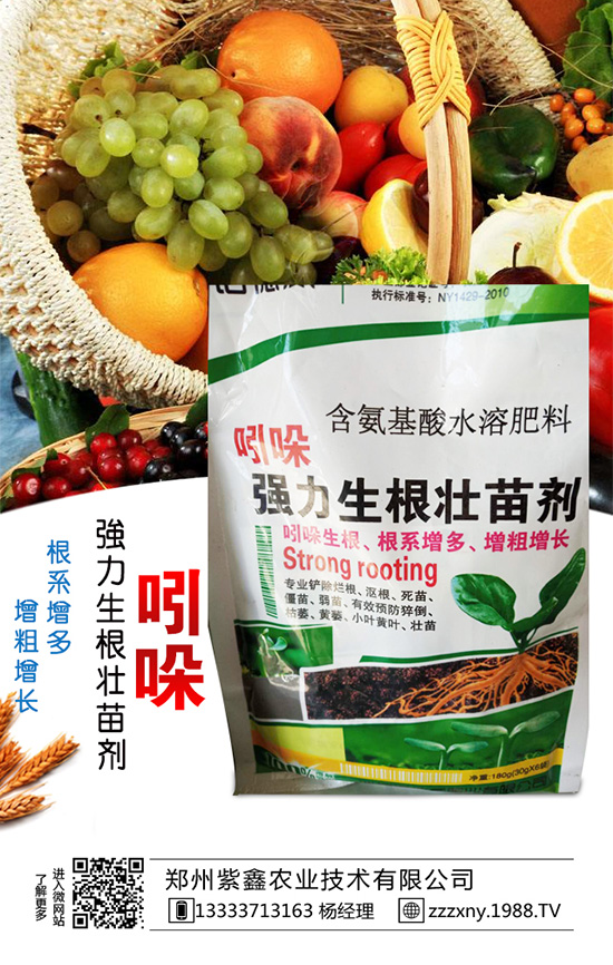 ��֥��Nֲ�r(sh��)�g��ʲô�r(sh��)�������֥��Nֲ�������g(sh��)��