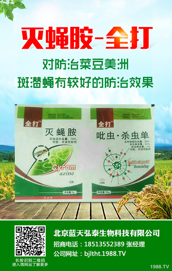 ��(ji��)���Ƕ��φ᣿��(ji��)����ηNֲ���������@Щ����(hu��)��æ����