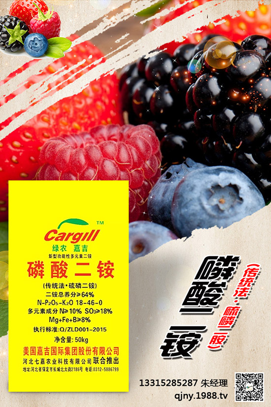 С����ʲô����(ji��)���N������Щ�Nֲ������