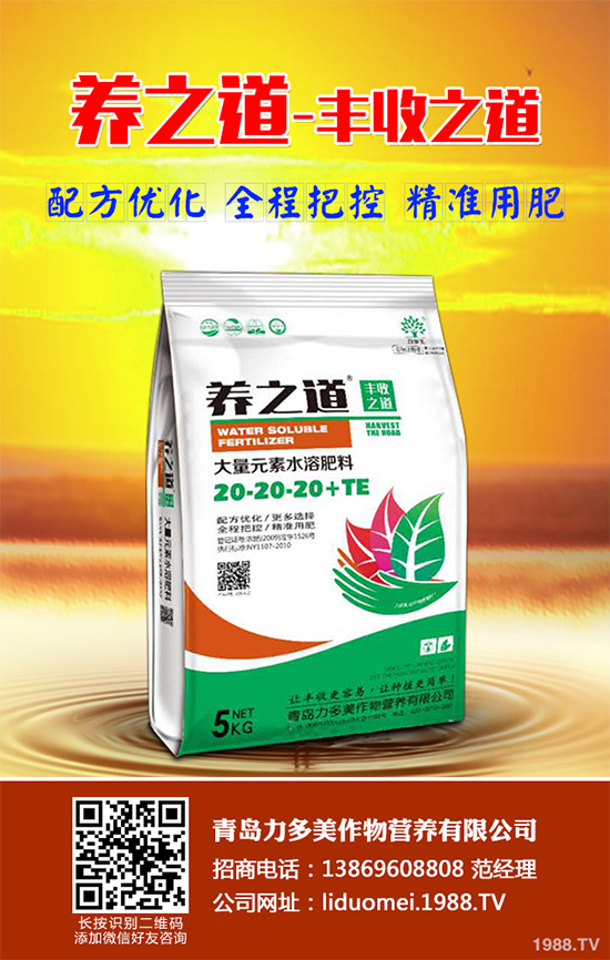 ��Ƥ�ɼٻ���զ��������Ƥ�ɼٻ��Q��ʩ