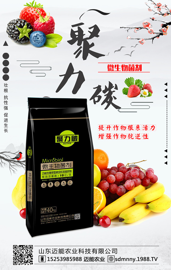 柿子各部位的營養(yǎng)價值,柿子保鮮的方法有哪些?