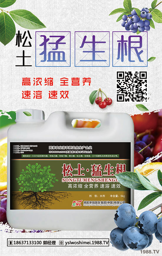 ��������Щ��Ч�����������ӵ�ʳ�ý�����