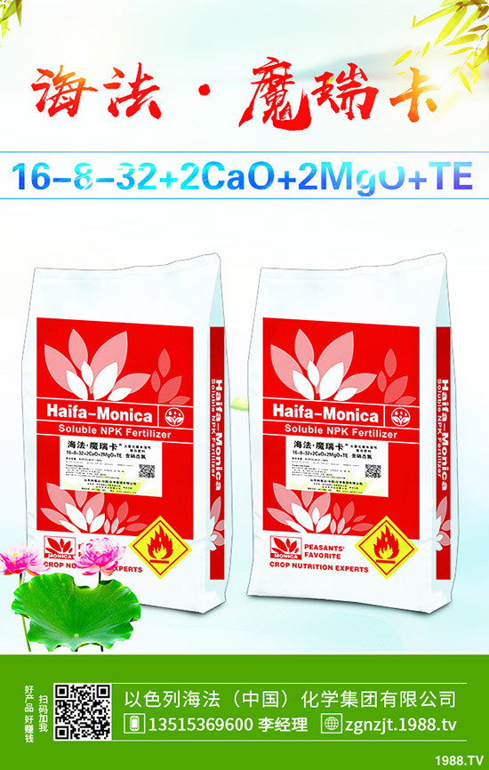     ����������D(zhu��n)��2019��11��27�ո��؅^(q��)�����������S��(b��o)�r(ji��)