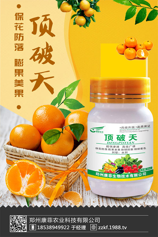 ���ٞ�ʲô���S�~�������S�~�Ľ�Q��ʩ��