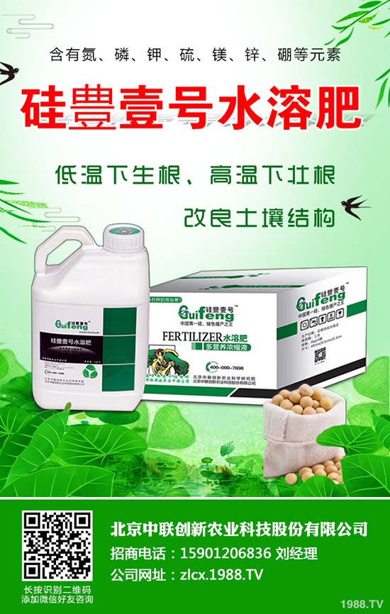 復(fù)合肥跌出今年價！近期最新復(fù)合肥行情綜合分析2019-11-30