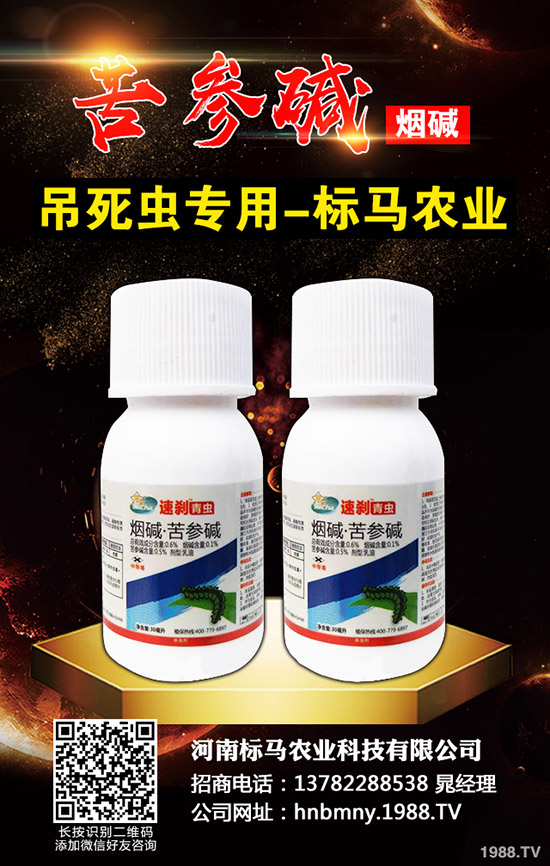 �������x��Σ���Y��l(f��)���l������������Щ���η�����