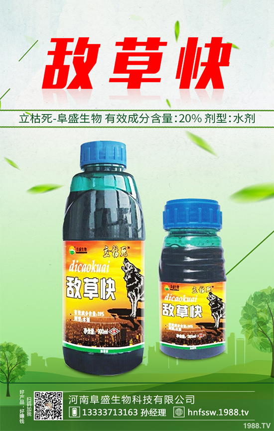 ɣ�@���݄��r(ji��)��