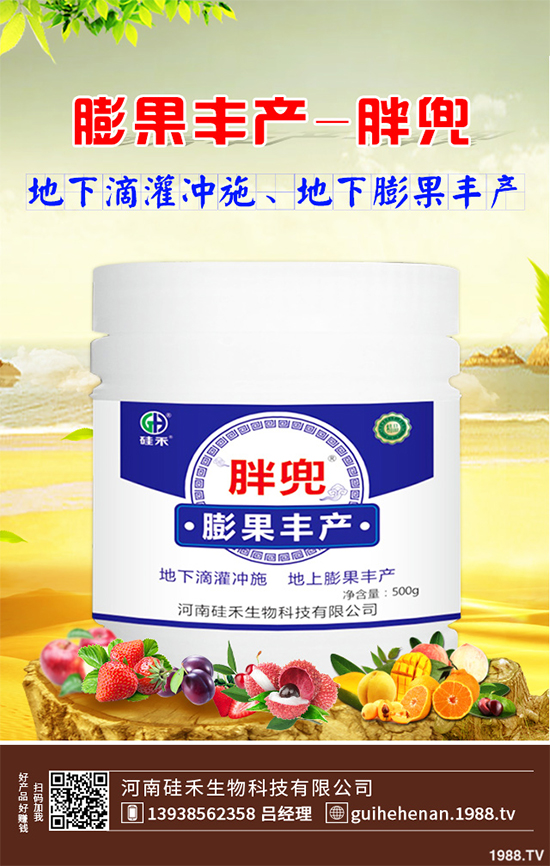 大棚西芹你知道該如何種植嗎？大棚西芹種植管理技術