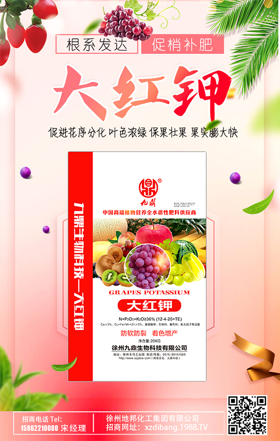 豆芽種植技術(shù)要點(diǎn)有哪些？豆芽有哪些功效作用？