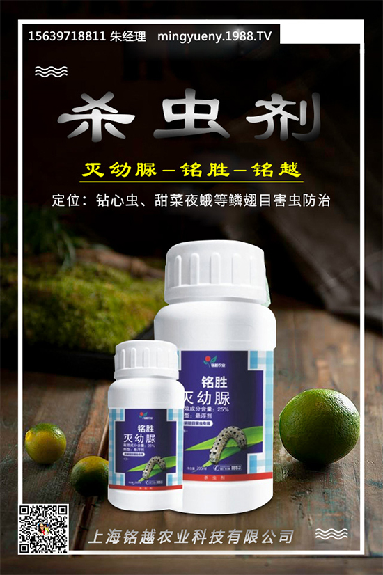 ���˚��x���r��